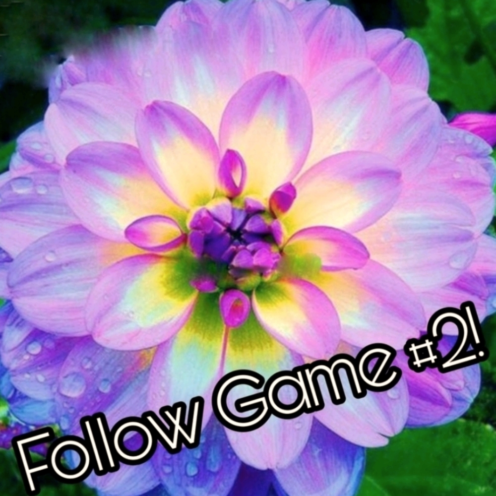 🌺FOLLOW GAME 2 LETS GET TO 30K!!